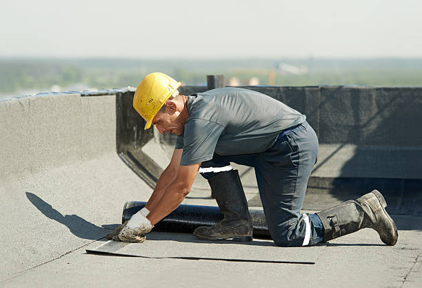 Professional Insulation Contractor in Fowlerville, MI