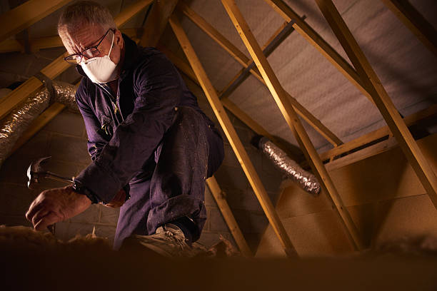 Best DIY Insulation Kits and Guidance in Fowlerville, MI