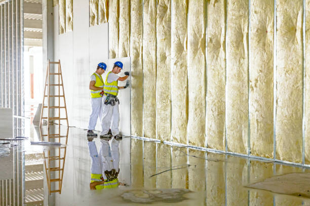 Best Blown-in Insulation in Fowlerville, MI